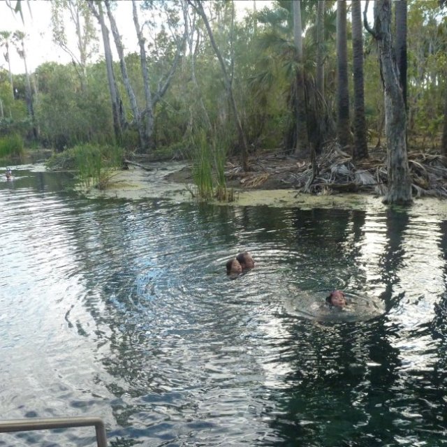 Tjuwaliyn (Douglas) Hot Springs
