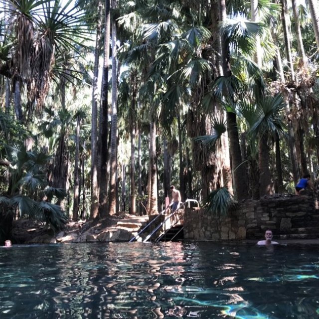 Mataranka Thermal Pool