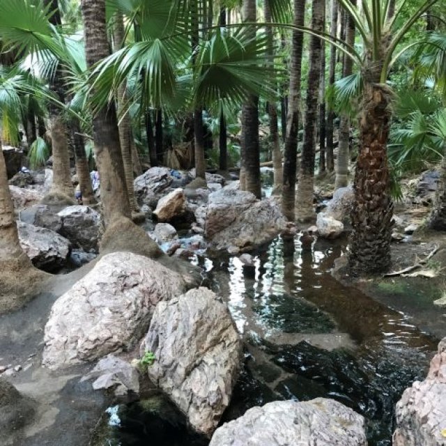 Talaroo Hot Springs