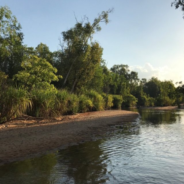 Zebedee Springs